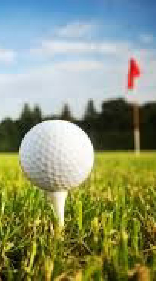 mica韓日高爾夫店/mica golf