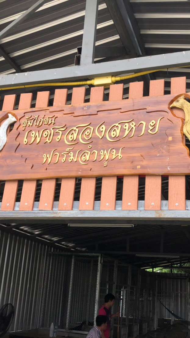 ซุ้มเพชรสองสหาย ( ซื้อ - ขาย )