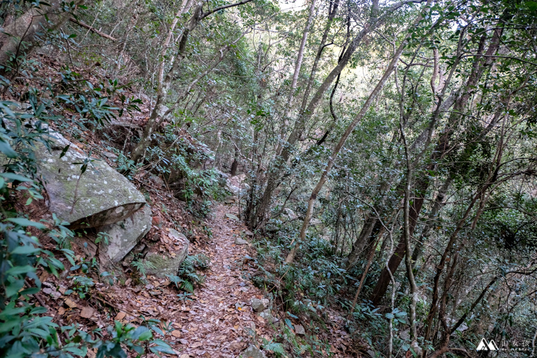 山女孩Melissa_東卯山東南稜-5731.jpg