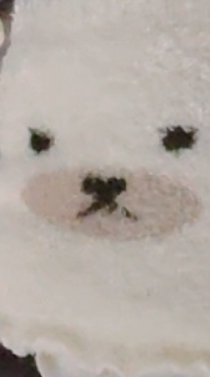 細切れ王国😴のオープンチャット