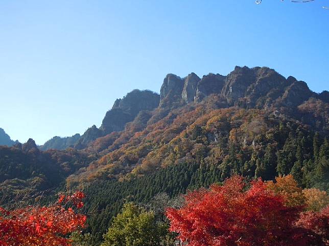 群馬縣的紅葉銀杏賞 是日日本 Line Today