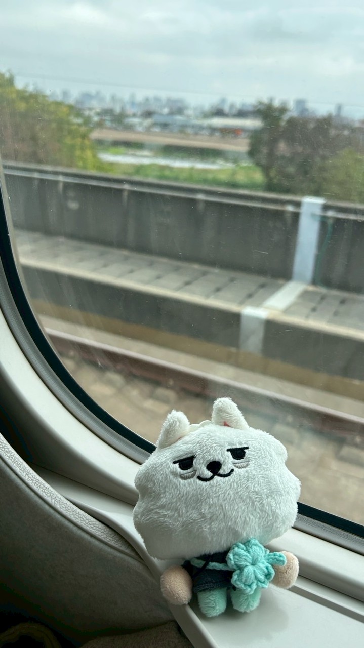 458.korea🇰🇷✈️