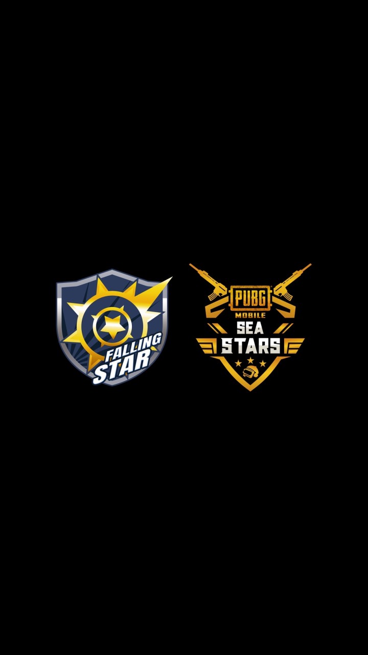 Falling Star Esports Tournament