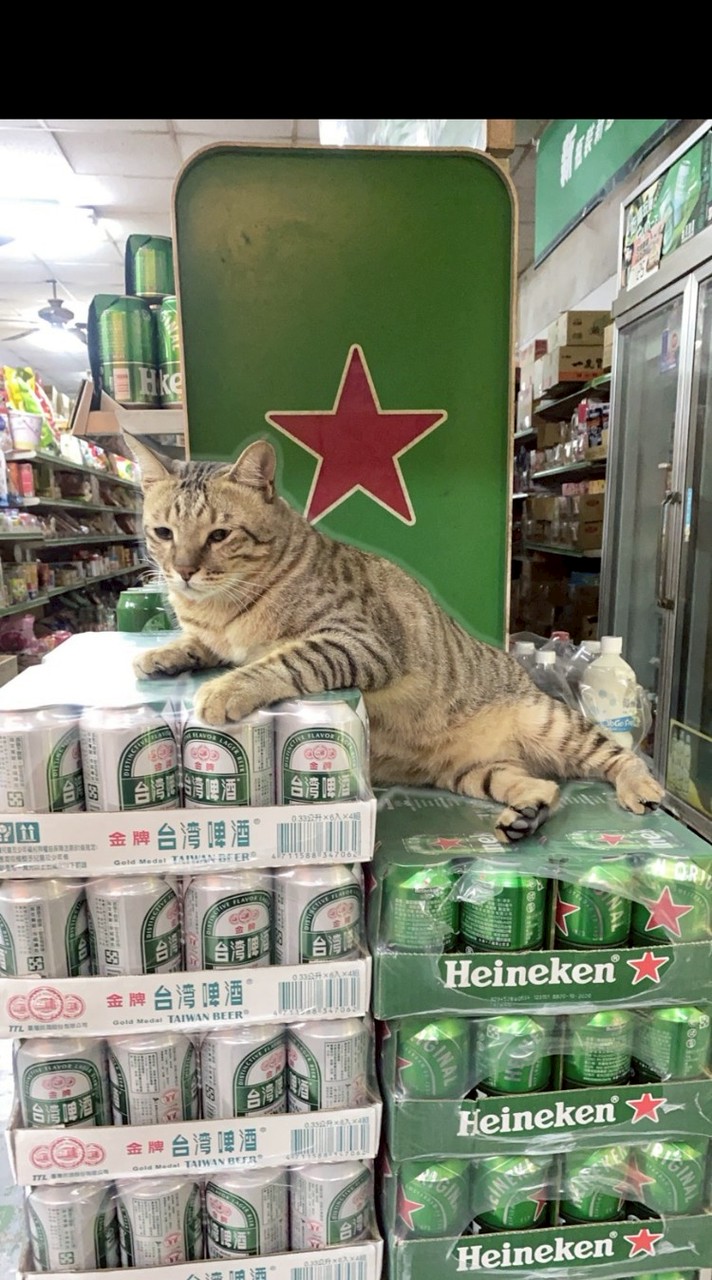 尋找阿虎