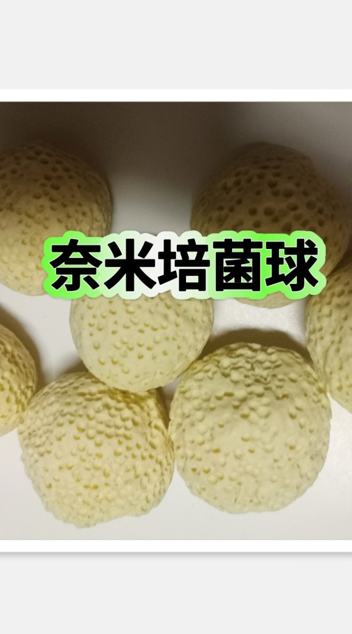 雙胞胎水族器材飼料專賣店