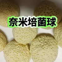 雙胞胎水族器材飼料專賣店