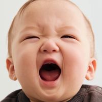 ミニぎし好きな人集まれぇー！👶