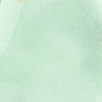 愛知異業種交流 ランチ会(幹事長：西島勇)