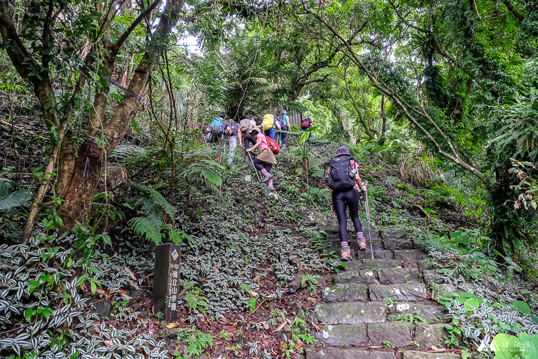 山女孩Melissa_雲嘉七連峰_獨立山_大籠頂_太平山_梨子腳山-7722.jpg