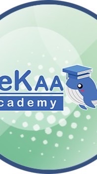 TeamDekaa(SD1497_น้องอองเต&ครูดรีม)