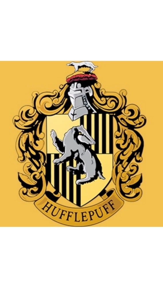 赫夫帕夫衝啊！