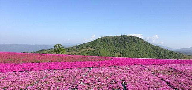 埼玉自由行川越 飯能 熊谷一日遊 賞櫻 賞楓 交通景點大公開 Compathy Magazine Line Today