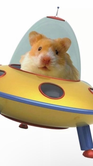 はむちんきくねーず大佐
