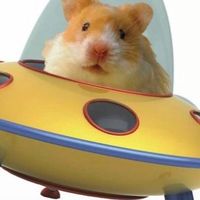 はむちんきくねーず大佐
