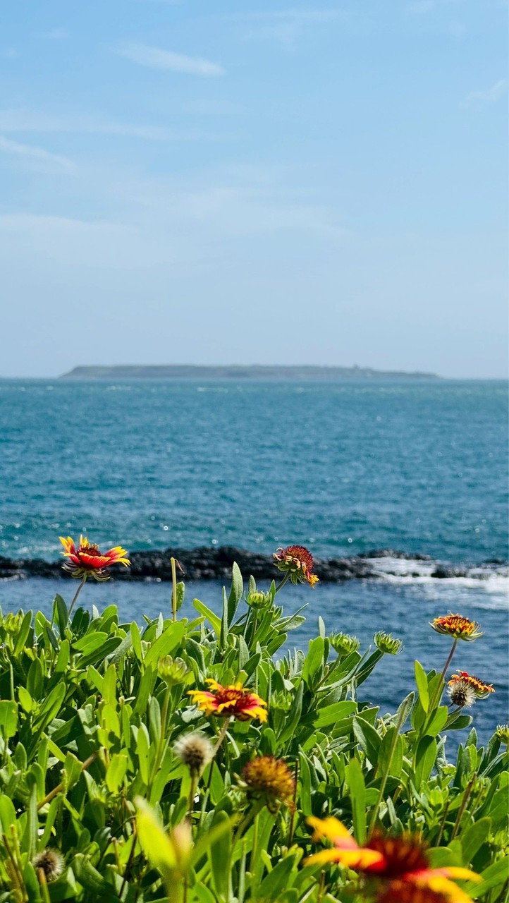 ✈️睿選玩饌 旅遊情資🏖️