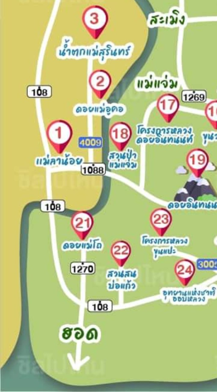 อาหาร และ ที่พัก ป้าซิงโฮมสเตย์ : ทุ่งหญ้าสะวันนา แม่โถ