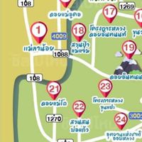 อาหาร และ ที่พัก ป้าซิงโฮมสเตย์ : ทุ่งหญ้าสะวันนา แม่โถ