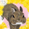 あっこ手相うさぎさんチーム🐰