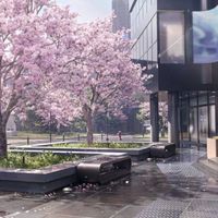 RP: ☽ The Nexus Campus ☾