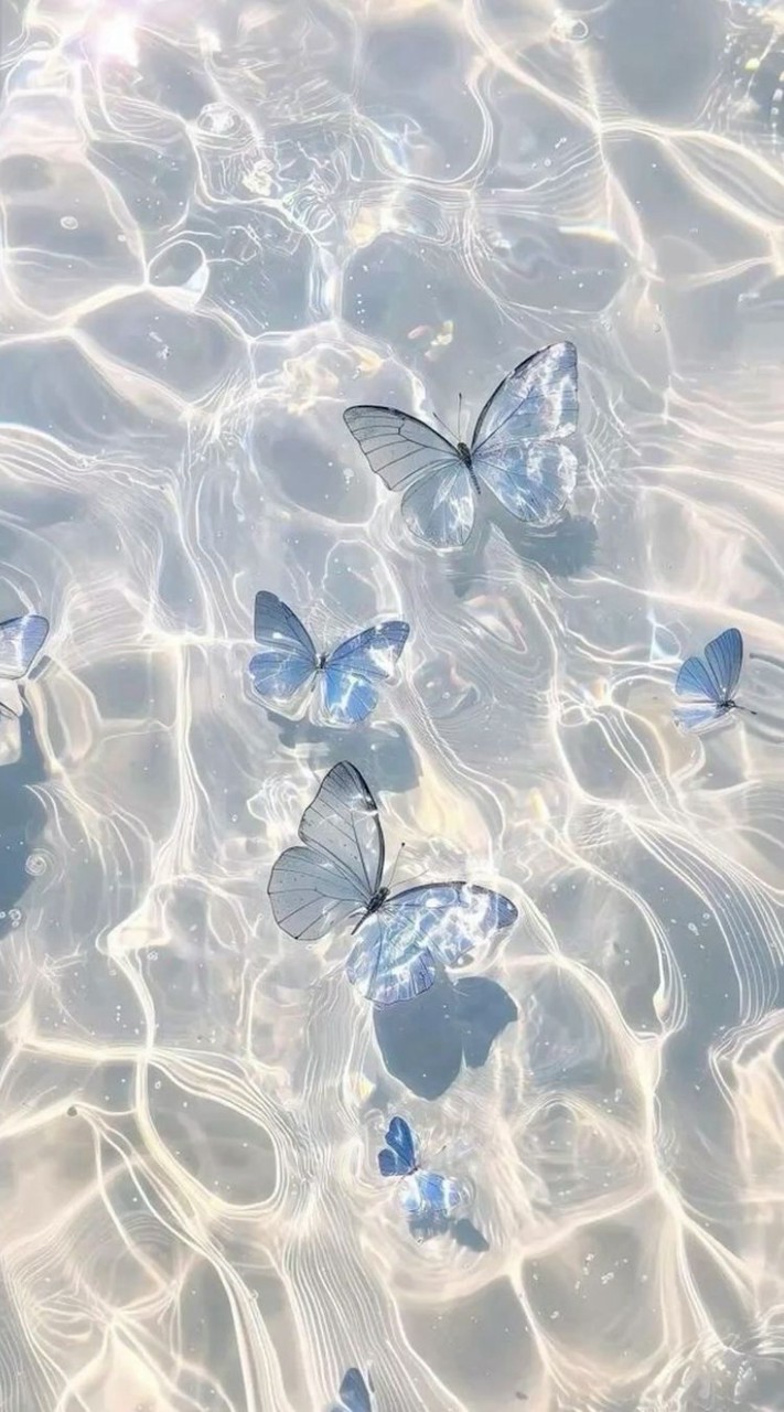 Blue รวม