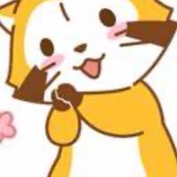 及人113浣熊