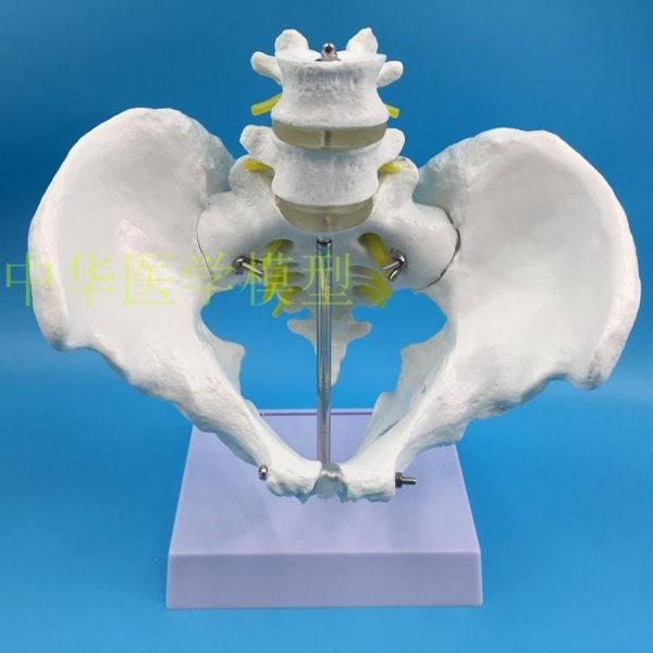 商品尺寸兩種以上需詢問後再下單商品尺寸兩種以上需詢