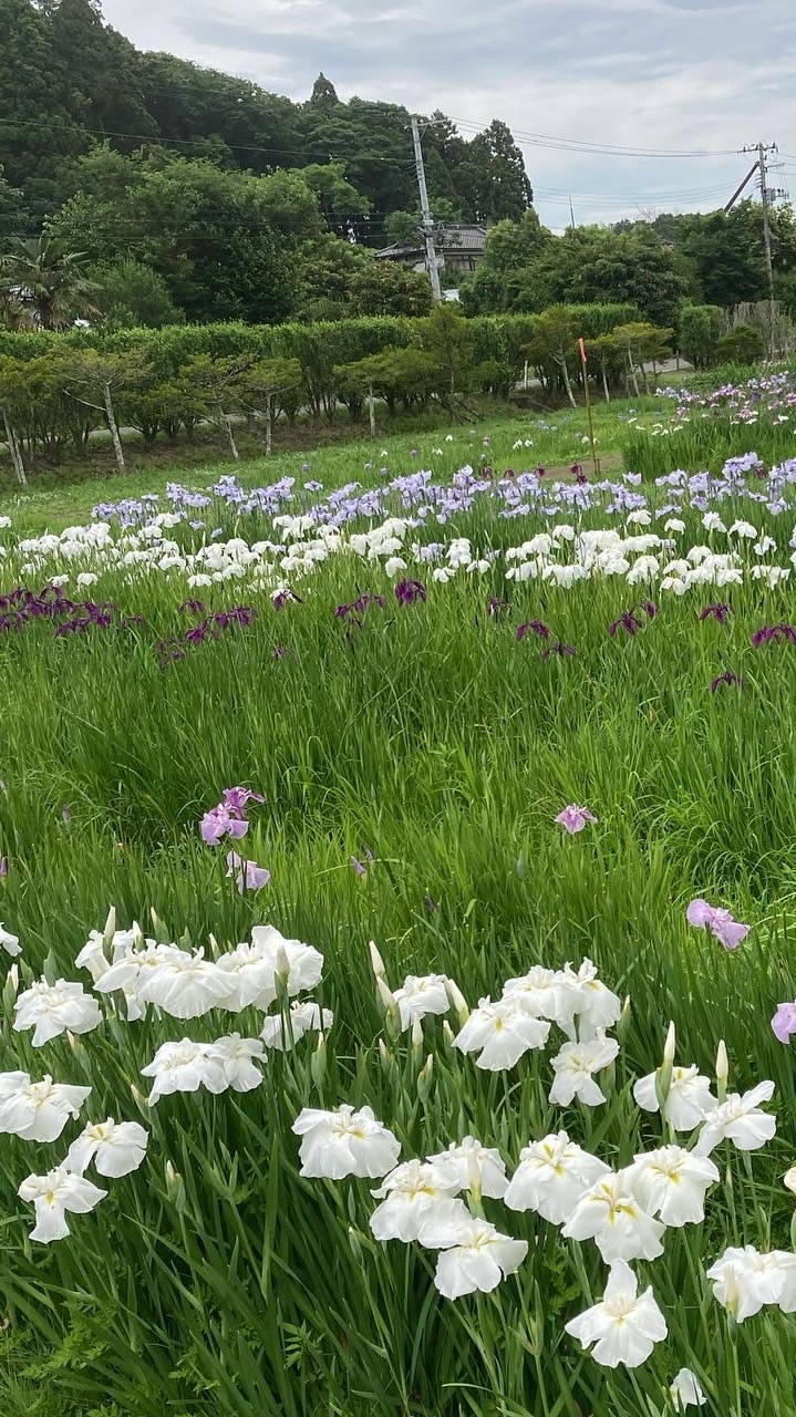 ポイ活🎶紹介コード相互入力💫節約　お得　ポイント　友達紹介　新規