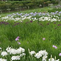ポイ活🎶紹介コード相互入力💫節約　お得　ポイント　友達紹介　新規