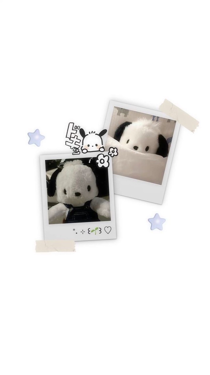 ⌗. 𝙻𝚘𝚟𝚎𝚕𝚢 𝙎𝙤𝙣𝙬 𓂂𓏸 免宣拐 ⸝⸝ 無退任 ໒ྀི