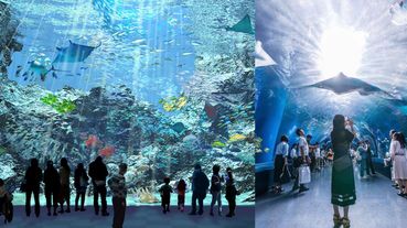 最美水族館換人當？桃園「國際級水族館」X park近4層樓透明觀景窗，成日本首座海外水族館！