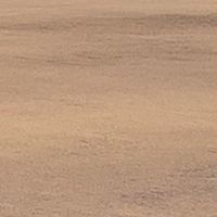 雑談の雑談