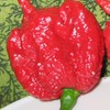 辛い食べ物好き集まれー