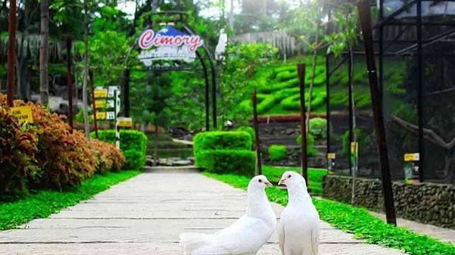 Cimory Semarang Wisata Edukatif Yang Tepat Untuk Keluarga