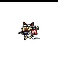PS版 ライズ サンブレイク