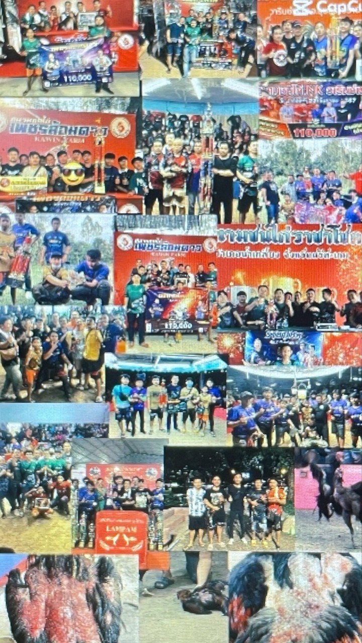 บ้านป่าก๋อยจอมรัว 🥁🥁เมืองอุบลBL