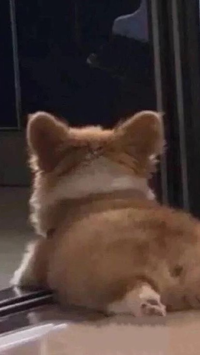 迎新二小2️⃣
