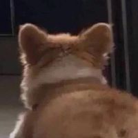 迎新二小2️⃣