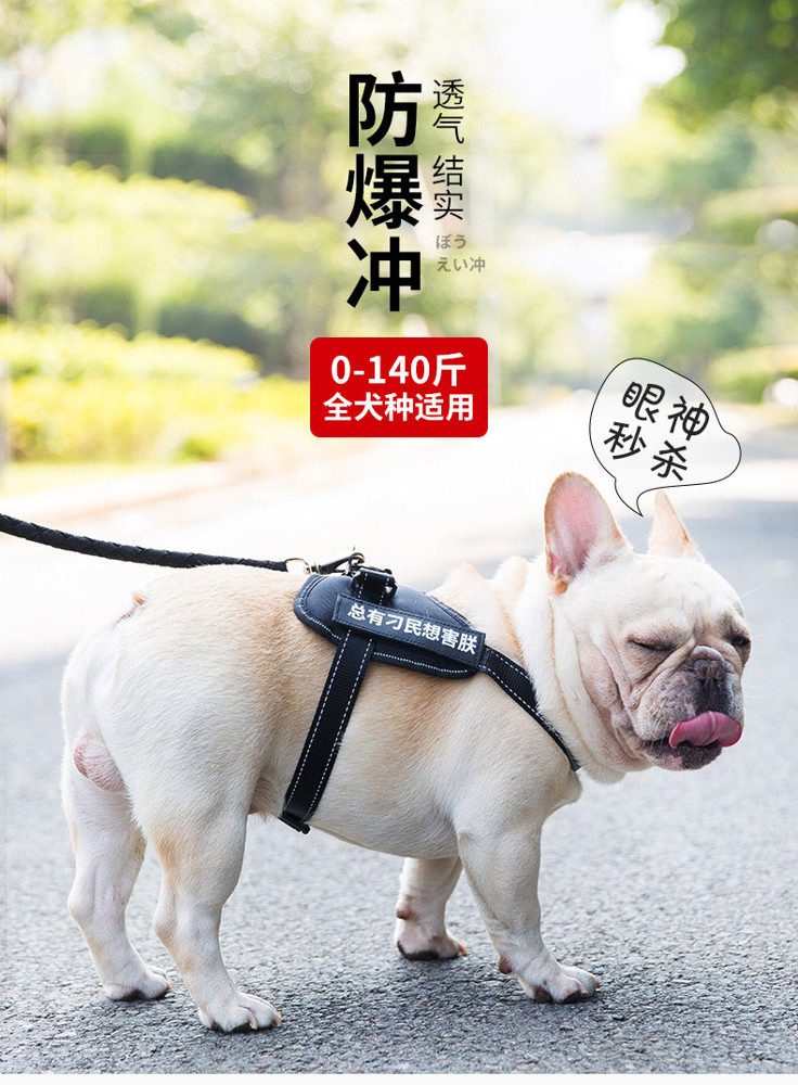 寵物背帶 狗狗牽引繩胸背帶金毛拉布拉多狗鍊子小型犬中型大型遛狗繩寵物 免運