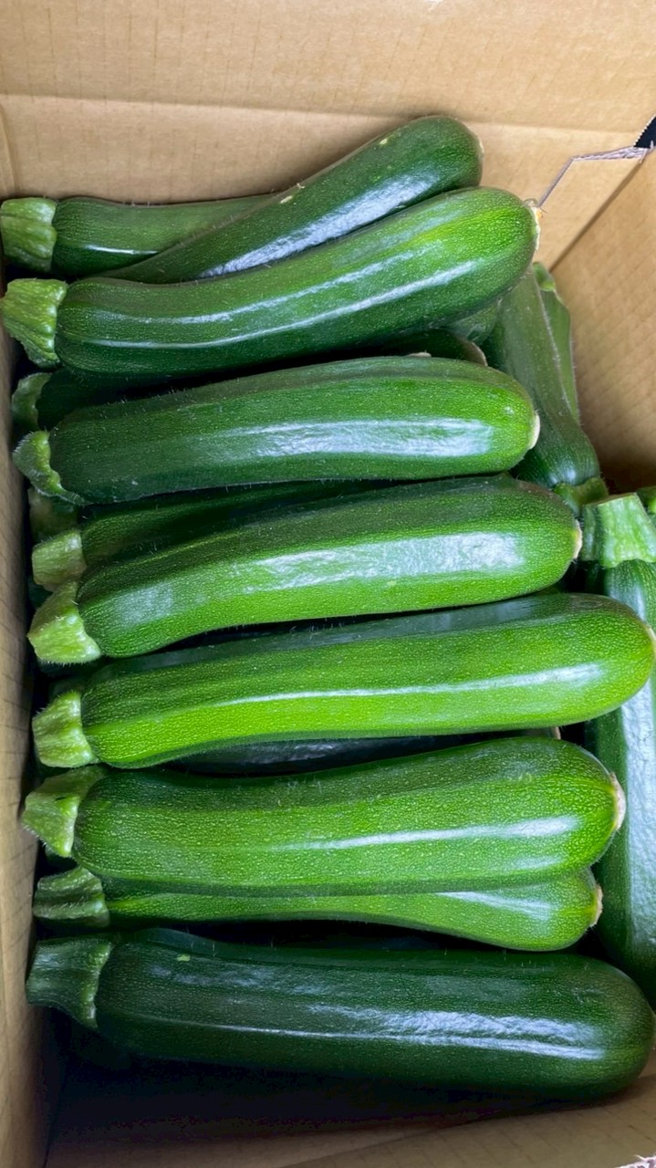 櫛瓜小農-漫漫🌿