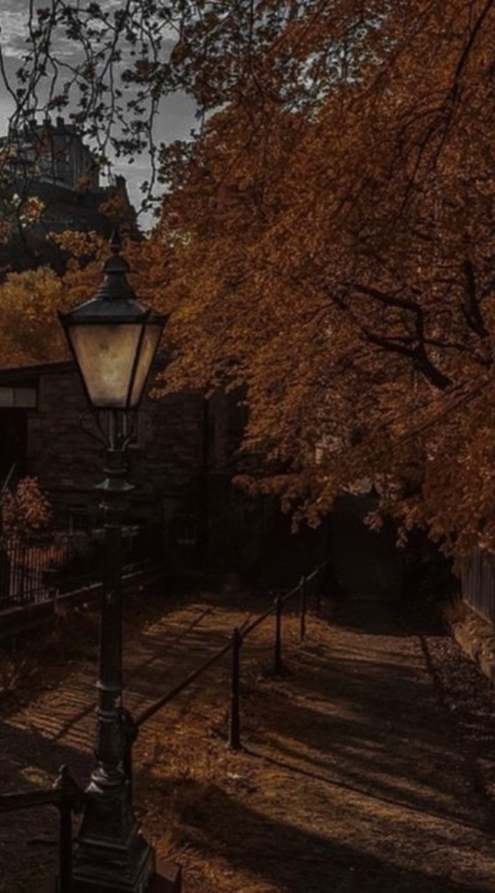 ꧁⊱ 𝔄𝔩𝔞𝔫𝔡 𝔈𝔫𝔱𝔢𝔯𝔱𝔞𝔦𝔪𝔢𝔫𝔱 𝔇𝔦𝔰𝔱𝔯𝔦𝔠𝔱 ⊰꧂