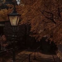 ꧁⊱ 𝔄𝔩𝔞𝔫𝔡 𝔈𝔫𝔱𝔢𝔯𝔱𝔞𝔦𝔪𝔢𝔫𝔱 𝔇𝔦𝔰𝔱𝔯𝔦𝔠𝔱 ⊰꧂