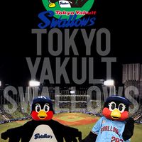 ヤクルトスワローズファン集結所