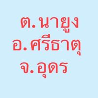 ขายของออนไลน์ ต.นายูง อ.ศรีธาตุ จ.อุดร