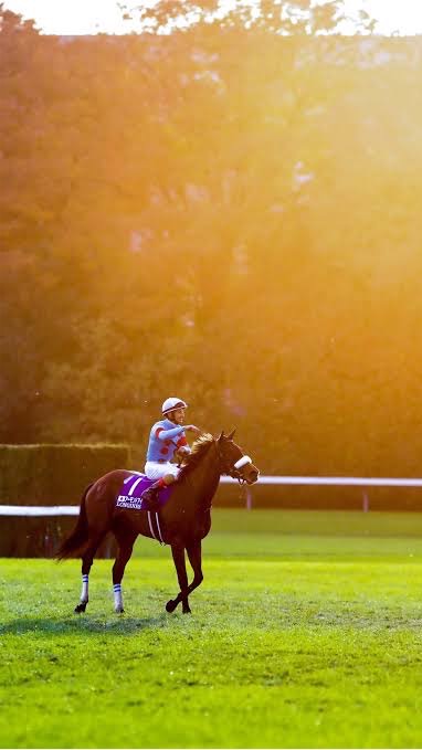 アーモンドアイ競馬予想のオープンチャット