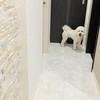 ホグワーツ77期生 本部