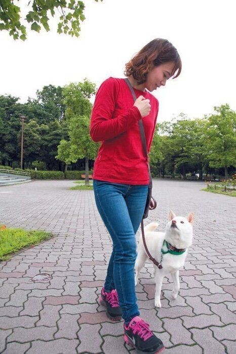 犬が飼い主さんに 大好き とアピールする鳴き方