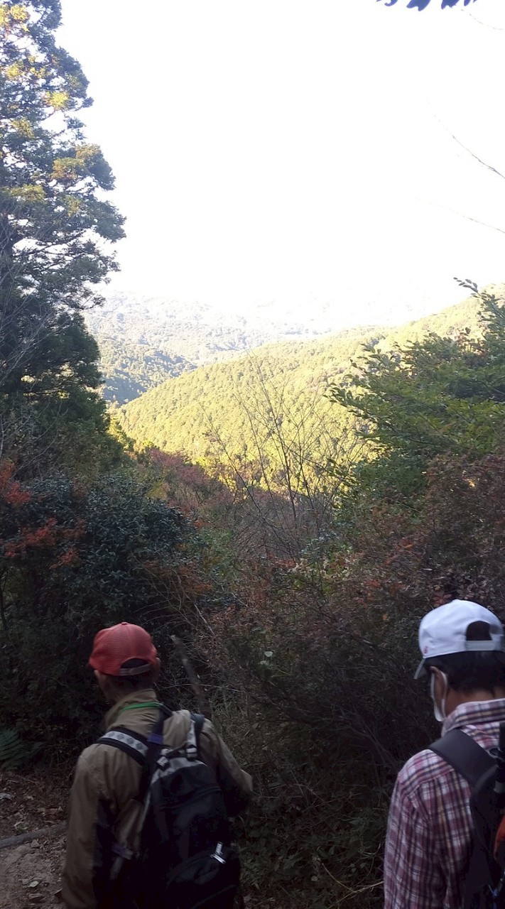 山登りハイキング連絡用