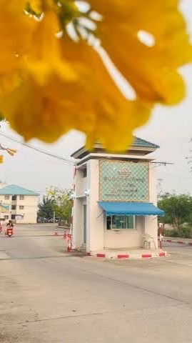 เอื้ออาทรนาจอมเทียน - สั่งอาหาร