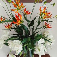 竹北花花團購