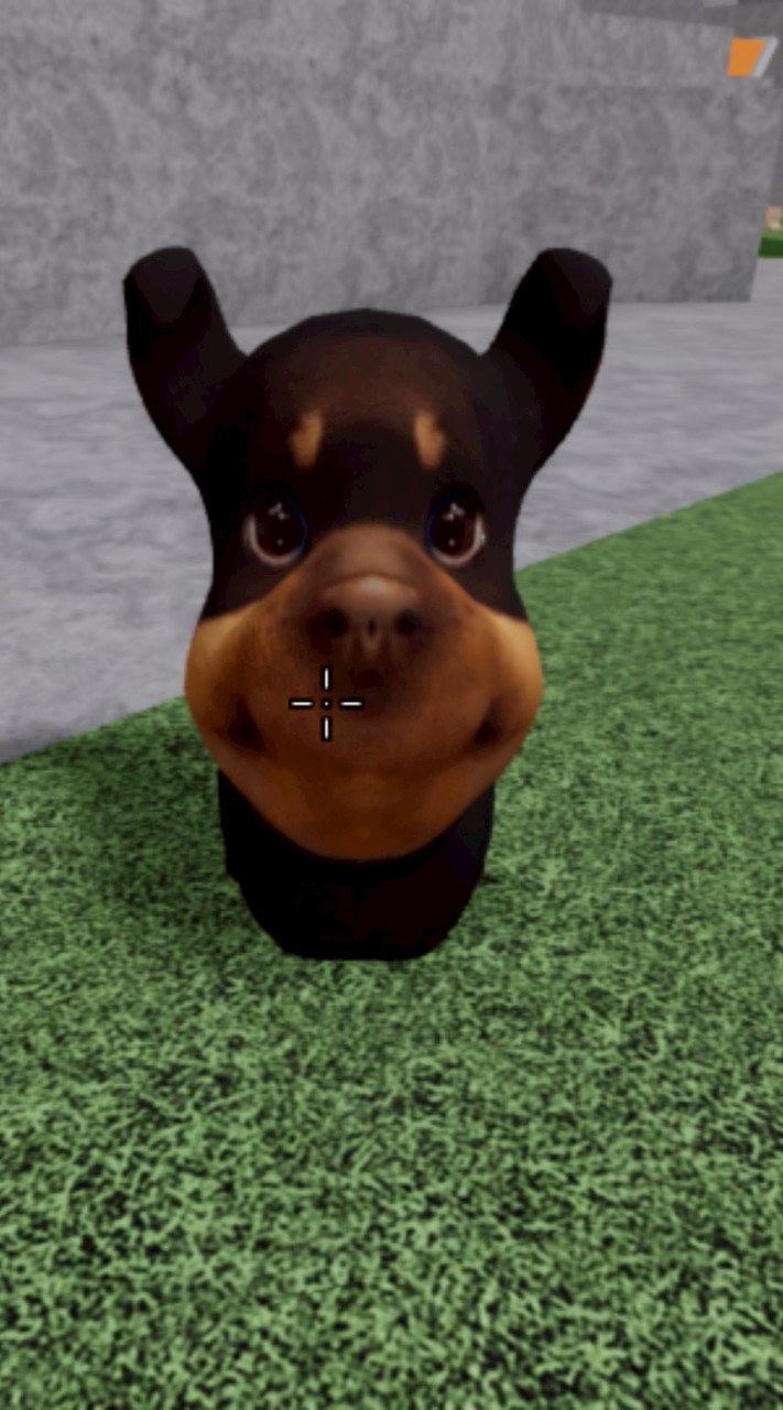 ด้อมนีโม่ค่กๆ🐶